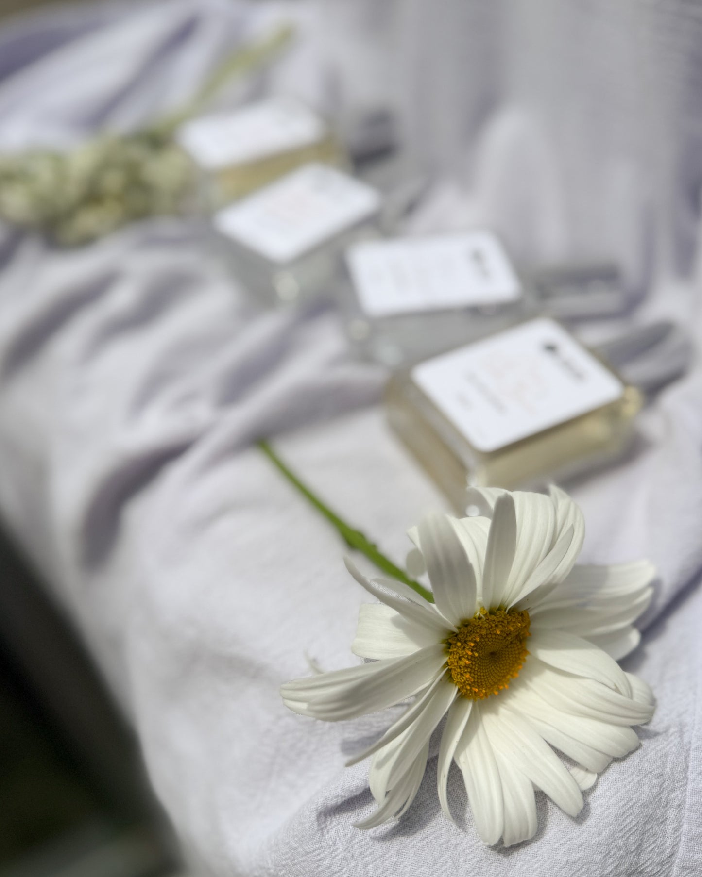Botanical Perfume - Vetiver + Spiced Bergamot
