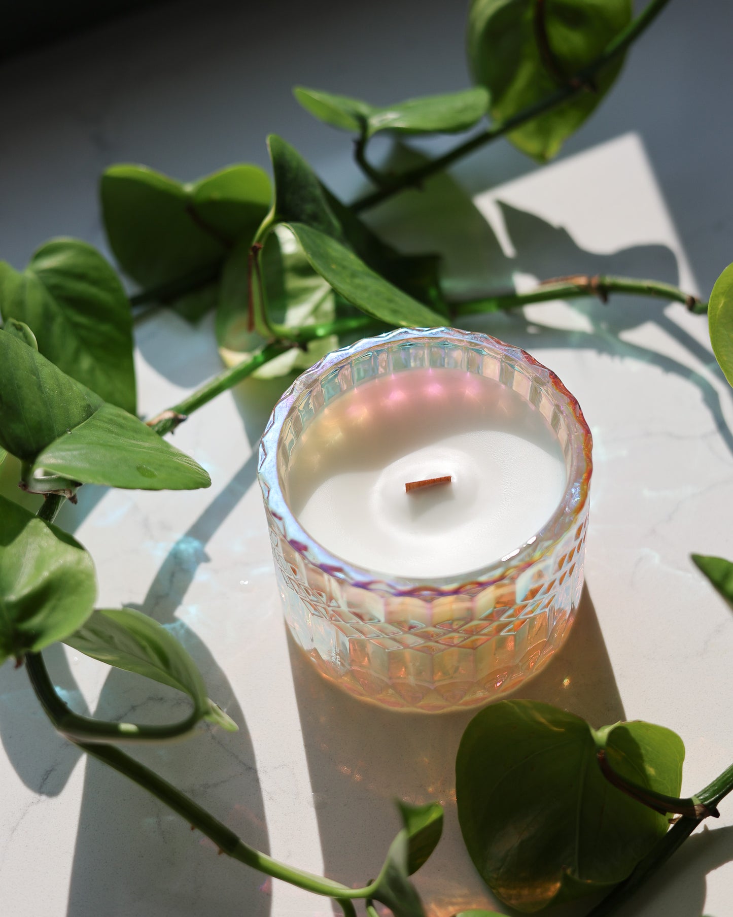 Limited Edition - Strawberry + Clementine Scented Candle 7oz