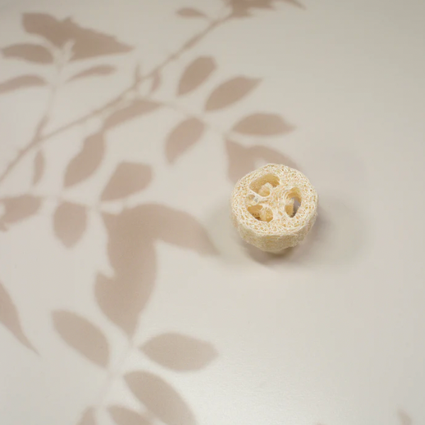 Loofah Slice
