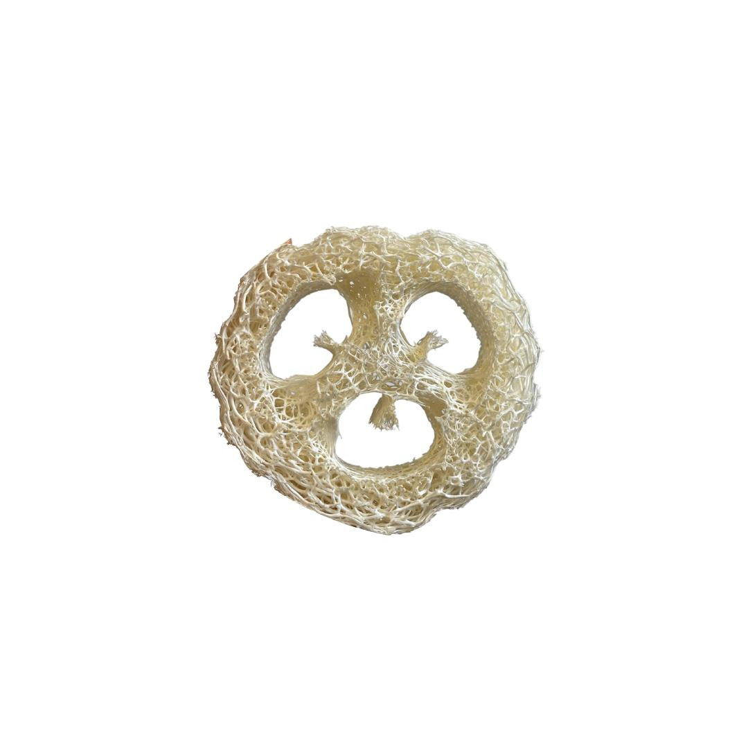 The Eco Alchemist Loofah Slice