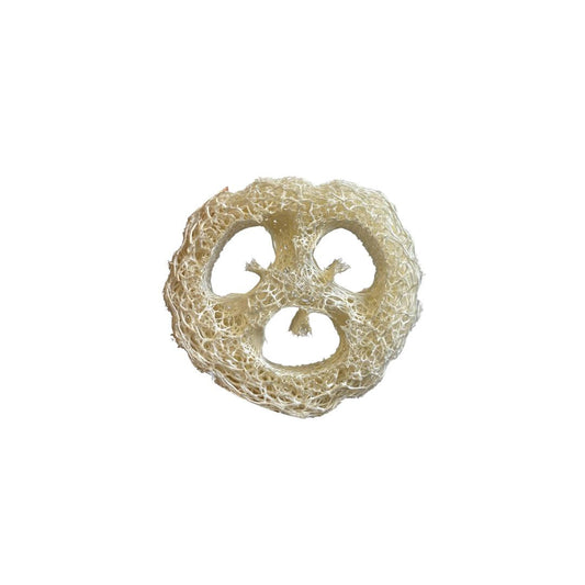 The Eco Alchemist Loofah Slice