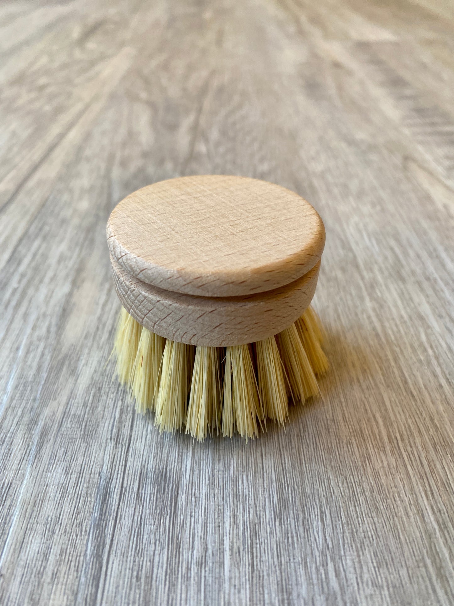 Scrub Brush Replacement Head