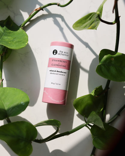 Strawberry + Clementine Mineral Deodorant Stick